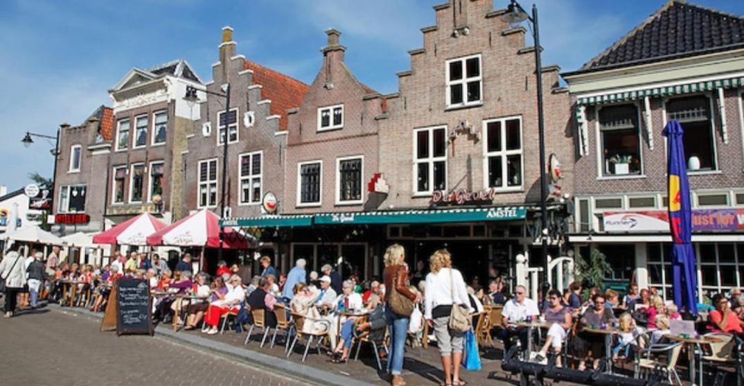 Huisje Britt Met Grote Tuin En Veel Privacy Dirkshorn Bagian luar foto