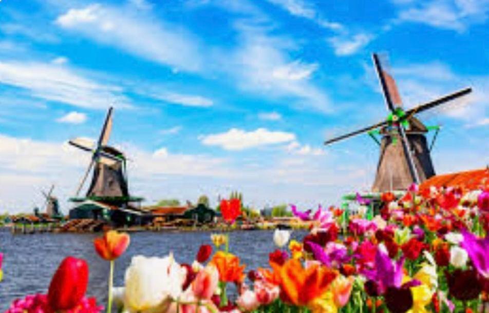Huisje Britt Met Grote Tuin En Veel Privacy Dirkshorn Bagian luar foto