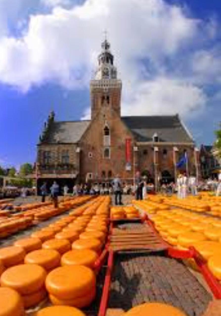 Huisje Britt Met Grote Tuin En Veel Privacy Dirkshorn Bagian luar foto