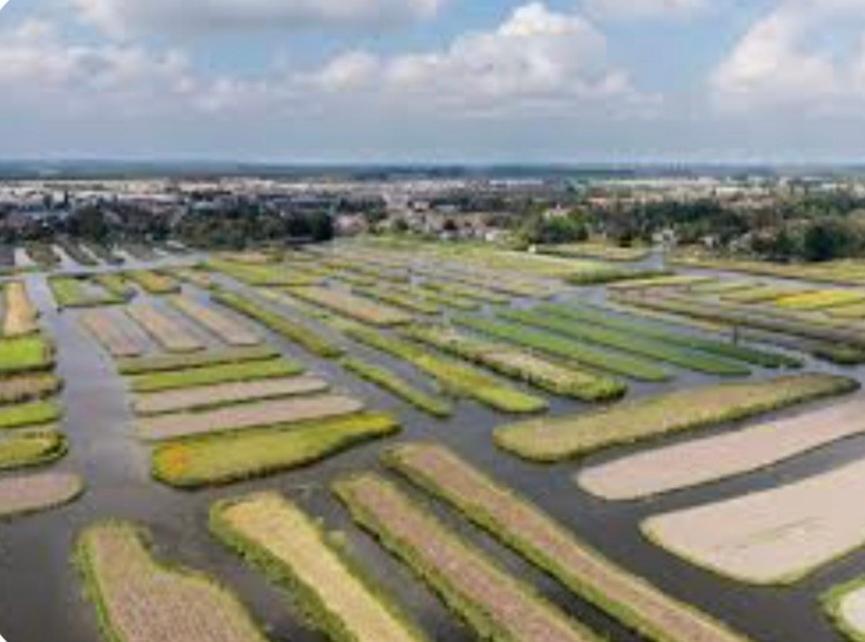 Huisje Britt Met Grote Tuin En Veel Privacy Dirkshorn Bagian luar foto